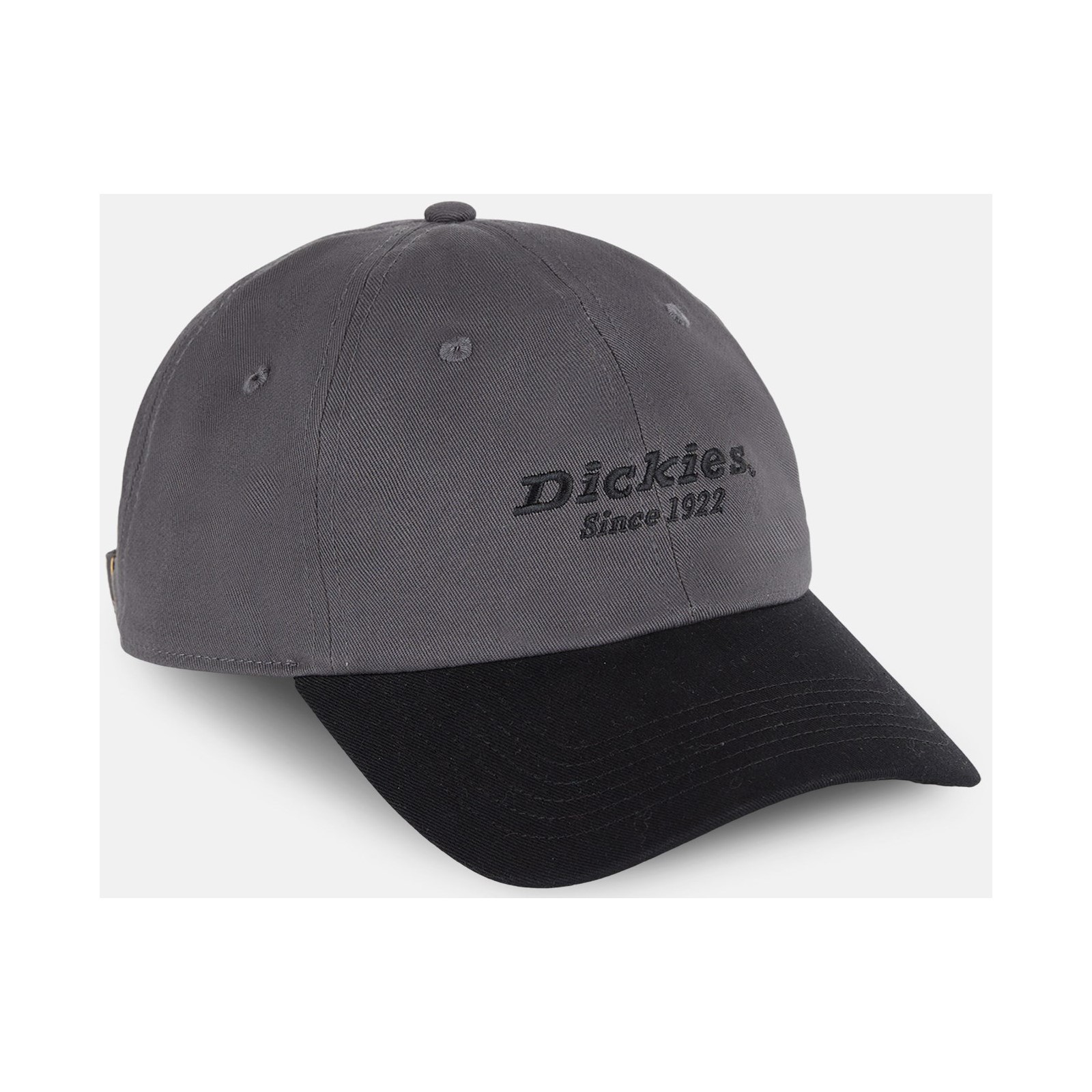 Everyday Dickies Twill Cotton  Cap, front