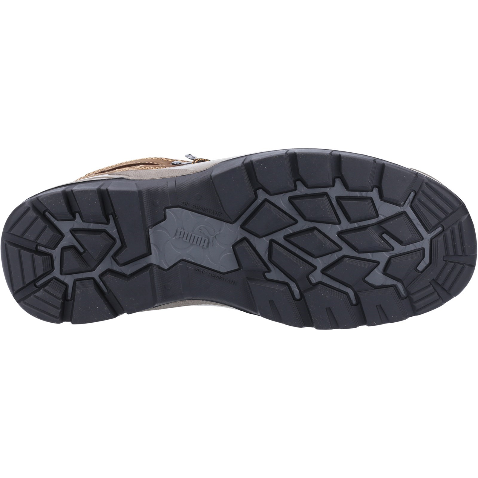Sierra Nervada Mid, detail