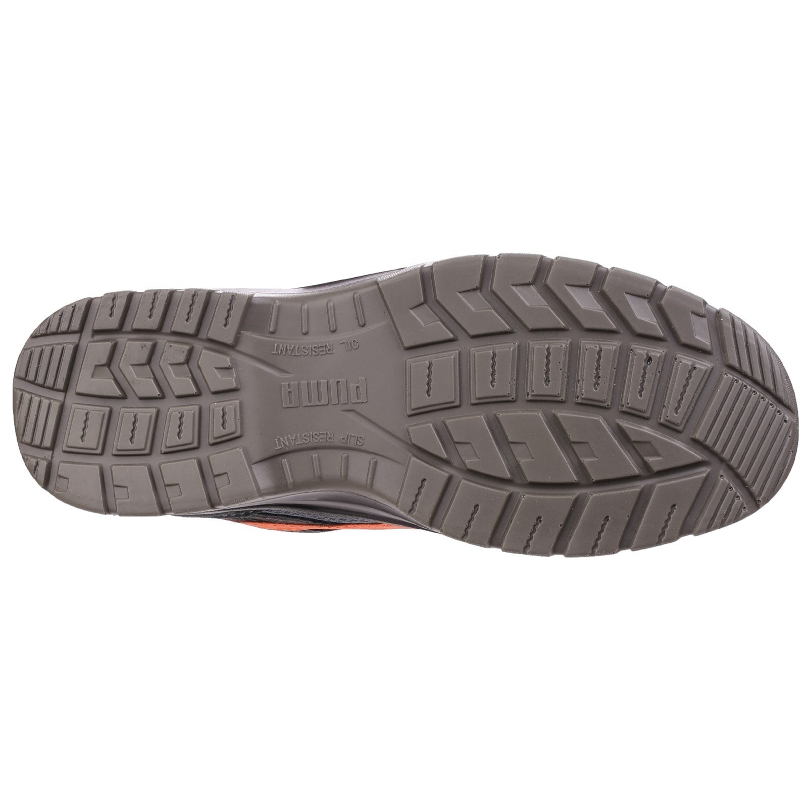 Omni Flash Low, detail