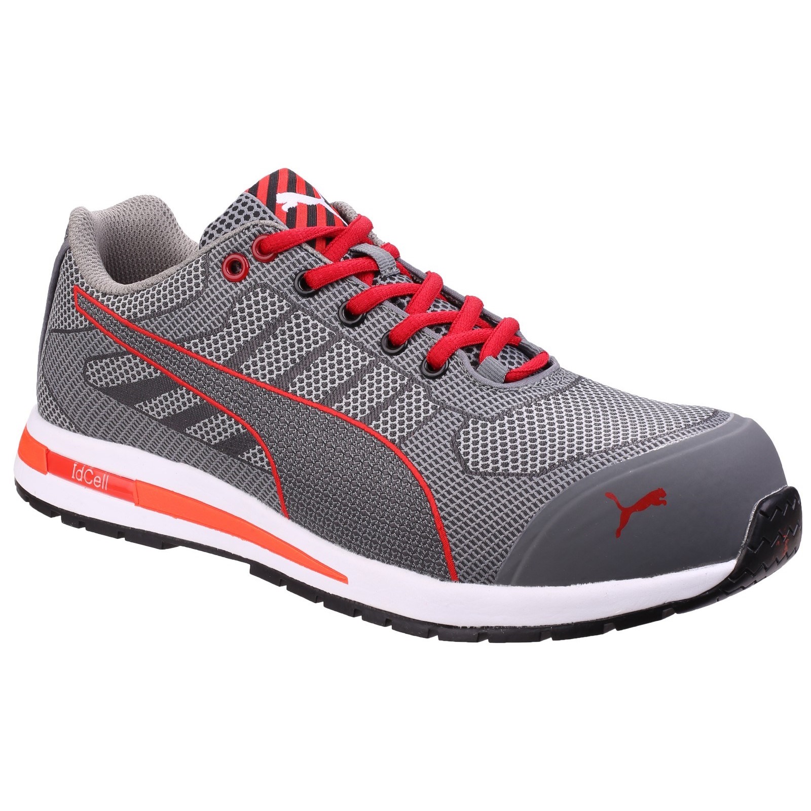 Xelerate Knit Low