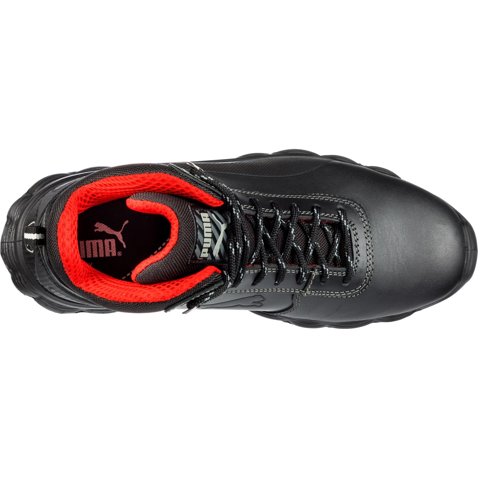 Condor Mid S3, detail